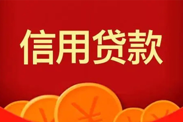 上海民间空借空放-上海民间私借空放当场拿钱-上海民间个人工程贷款-第1张图片-成都私人借钱服务中心